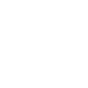 Financial planning Icon